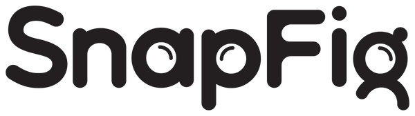 snapfig
